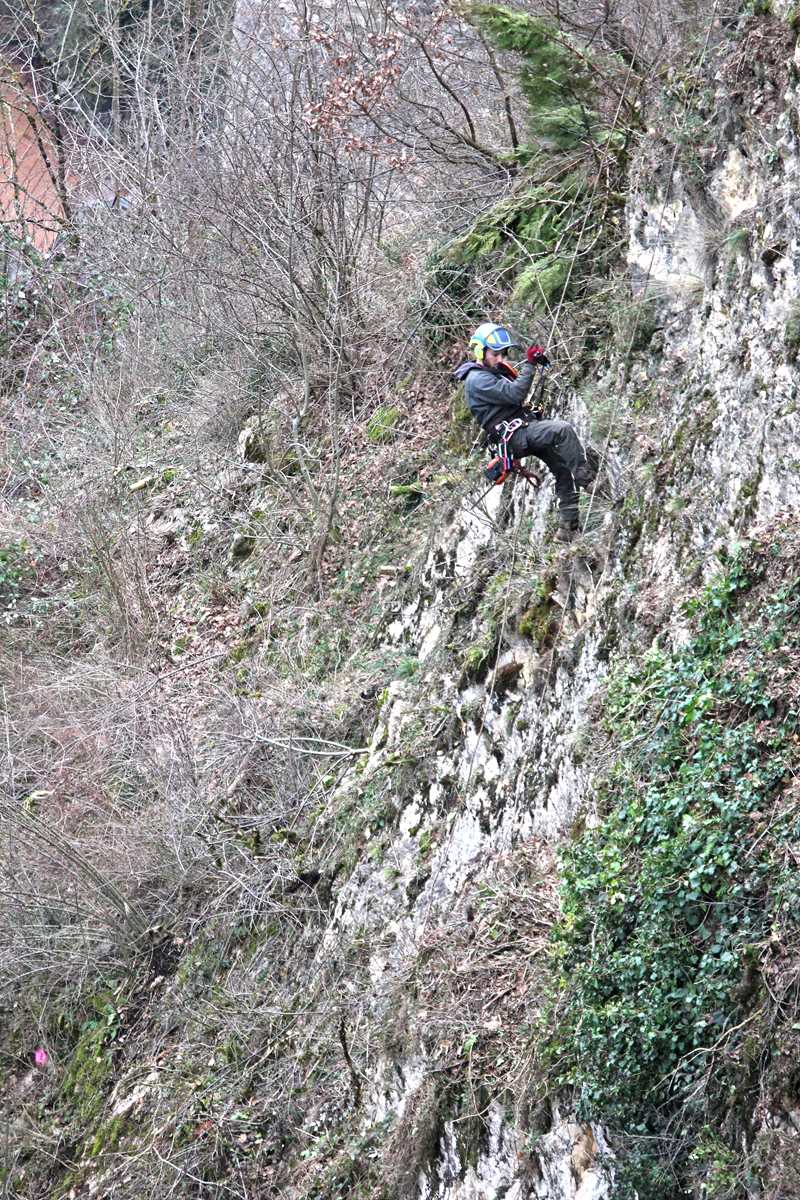 Débroussaillage des falaises