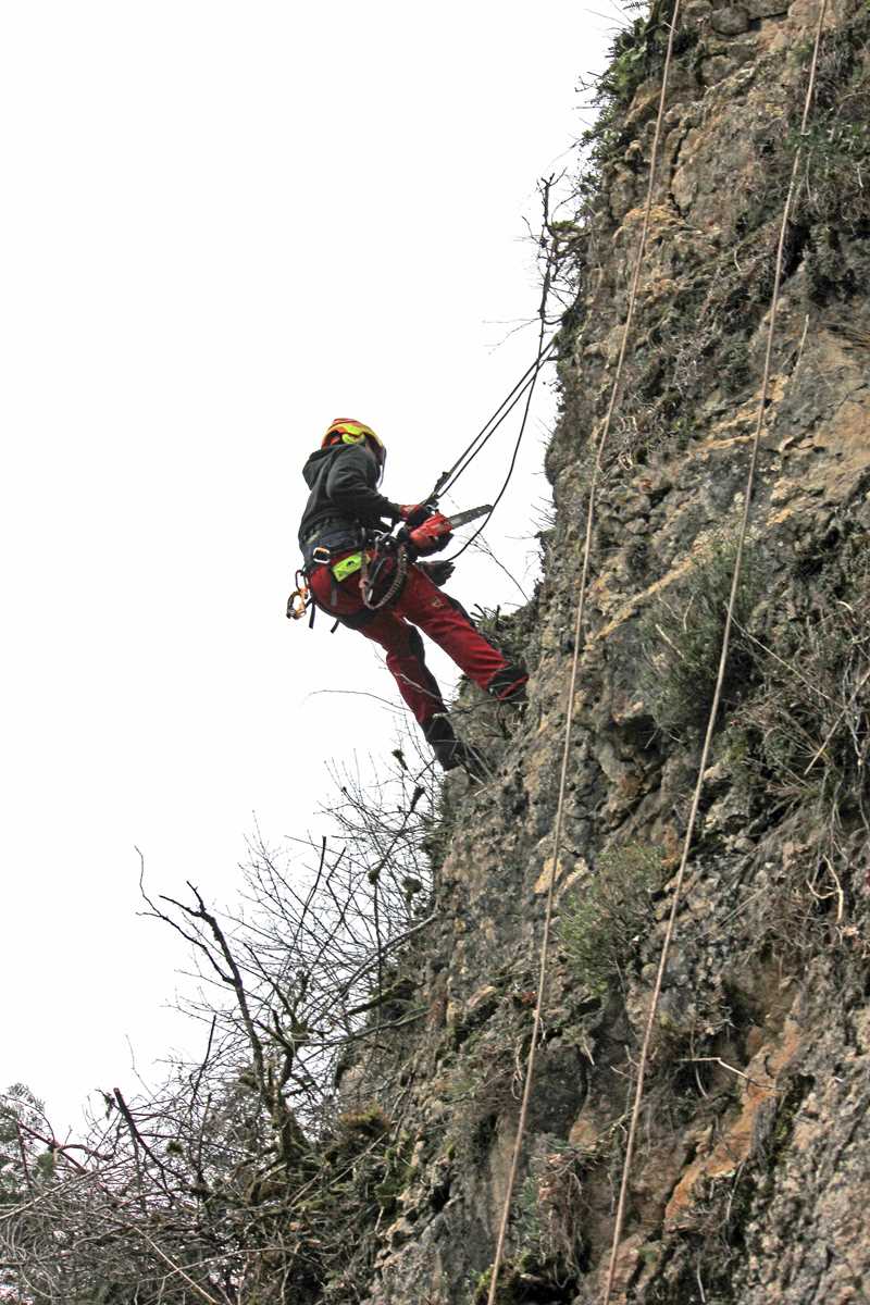 Débroussaillage des falaises